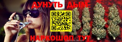 прущая мука Будённовск