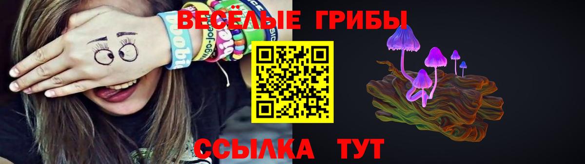 Псилоцибиновые грибы GOLDEN TEACHER  Вход с VPN  Новочебоксарск 